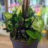 Planter in Tin