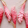 topical floral in real sea shell that you can keep as decoration