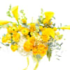 Just in time to celebrate summer, Sunshine honors the beauty and warmth