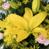 Welcome smiles with this delightful basket filled with a vibrant assortment of