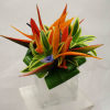 Developed and designed locally, our Bird of Paradise prom piece encourages the
