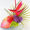 - Miniature size for a vibrant tropical glow
- Combines vibrant colors and