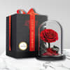 &bull; Preserved rose (3 year warranted)
&bull; Glass dome
&bull; Wooden base
&bull; Cardboard Box