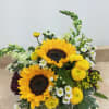 A lovely bouquet of sunflowers accented with white snapdragons and monte casino