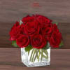 beautiful bundle of 12 roses
