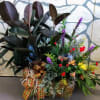 Double basket with green plant and beautiful floral arrangement
Picture will not look