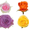 Six Roses of you color choice arranged in a vase.
*If no color