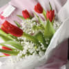A stunning combination of vibrant red tulips and the soft, airy beauty