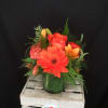 A tribute to the color orange! Varied hues and types of flowers