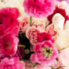 For pink lovers everywhere!