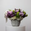 This arrangement comes with a mix of lime, green and lavender lilac