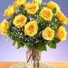 yellow roses