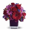 Blend of purples and reds in a cute container