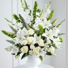 The Morning Star Arrangement is a brilliant expression of peace and soft