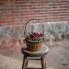 Adorable African Violet plants are arranged in a woven wicker basket. Finished