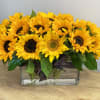 Bring the Sunshine in.  Bright Happy Sunflowers are bound to make