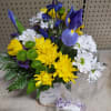Bee Happy mason jar filled with iris, daisys, green buttons, yellow chrysanthemums