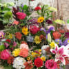 A stunning bold &amp; bright mix of market fresh flowers in stock
