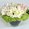 Elegant Bloom Arrangement &ndash; Luxurious Floral Centerpiece
Indulge in the beauty of this