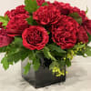We are delighted to introduce &quot;Mayra&#039;s Bright,&quot; a captivating hot pink rose