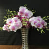 Orchid stems in 12&quot; tall glass silver vase ,19&quot; 