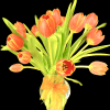 This simple yet classic vase arrangement includes 15 tulips in a clear