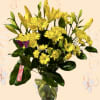 Arrangement measures approximately 15&quot;H
Send spring Fresh sunny lilies bouquet  the perfect