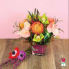 Approx. size: 10&quot; High x 8&quot; Wide
Size category: Compact Size, perfect for