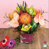 Approx. size: 10&quot; High x 8&quot; Wide
Size category: Compact Size, perfect for