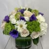 A compact style modern and fun! Mixed lime green, white &amp; purple