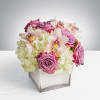 Our most popular arrangement! Pop of Lavender by BloomNation&trade; is the perfect