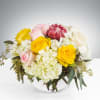 The Pink Ice Protea create brings a hint of the tropics in