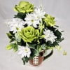 Send this adorable football mug filled with green and white silk flowers