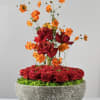 A bold fusion of deep red roses and vibrant orange cosmos, gracefully