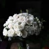 White roses and carnations flowers create the best bridal bouquet.