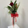 An extra tall vase with a single beautiful rose.
