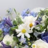 This dreamy arrangement brings together white dahlias and blue delphiniums with spray