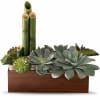 Thirsting for a gift that is contemporary, beautiful and inspires a soothing