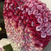  Beautiful Ombre Roses with Ombre butterflies .standart  1,5 feet .