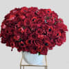 Beautiful arrangement for any occasion captures the vibrant beauty of red roses
