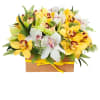 Send your recipient a high end bouquet of vibrant jade green cymbidium