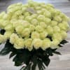 Also known as the bridal rose, Mondial symbolizes unity, virtue, and the