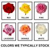 Classic roses in a vase with assorted foliage and accents. Roses are
