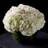 Hydrangeas carry a variety of meanings, often tied to their vibrant, lush