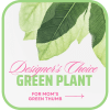 &quot;The Designer&#039;s Choice Green Plant is the perfect gift to celebrate Mother&#039;s