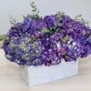 These stunning purple hydrangeas are paired with fragrant eucalyptus leaves in a