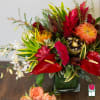  The Beretania Florist Nuuanu Tropical Arrangement
