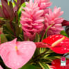 The Beretania Florist Tradewinds Tropical Bouquet is a beautiful bouquet that anyone