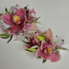 A beautiful Mini Cymbidium Orchid Corsage for Prom or Homecoming girls. 