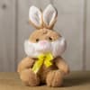 This adorable rabbit sits well, is of medium size, sports a fancy